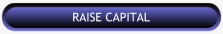 Raise Capital