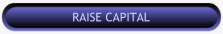 Raise Capital